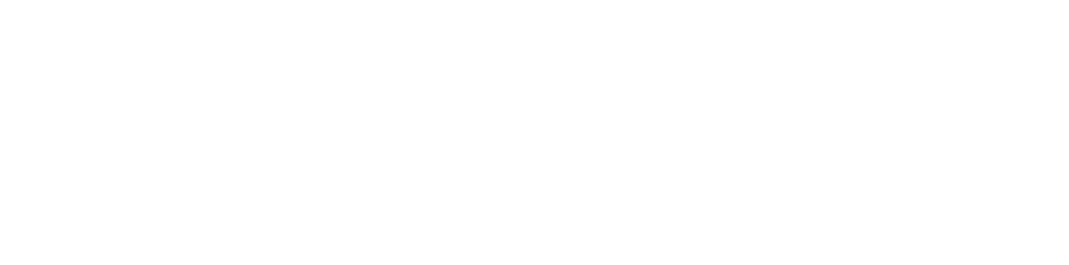 全プラン