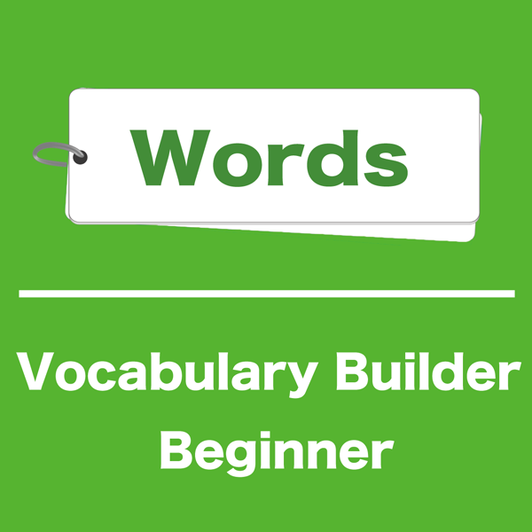 Vocabulary Builder beginner