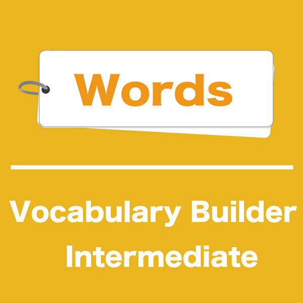 Vocabulary Builder intermediate