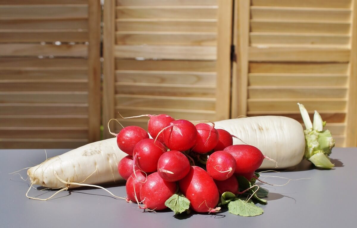 radish