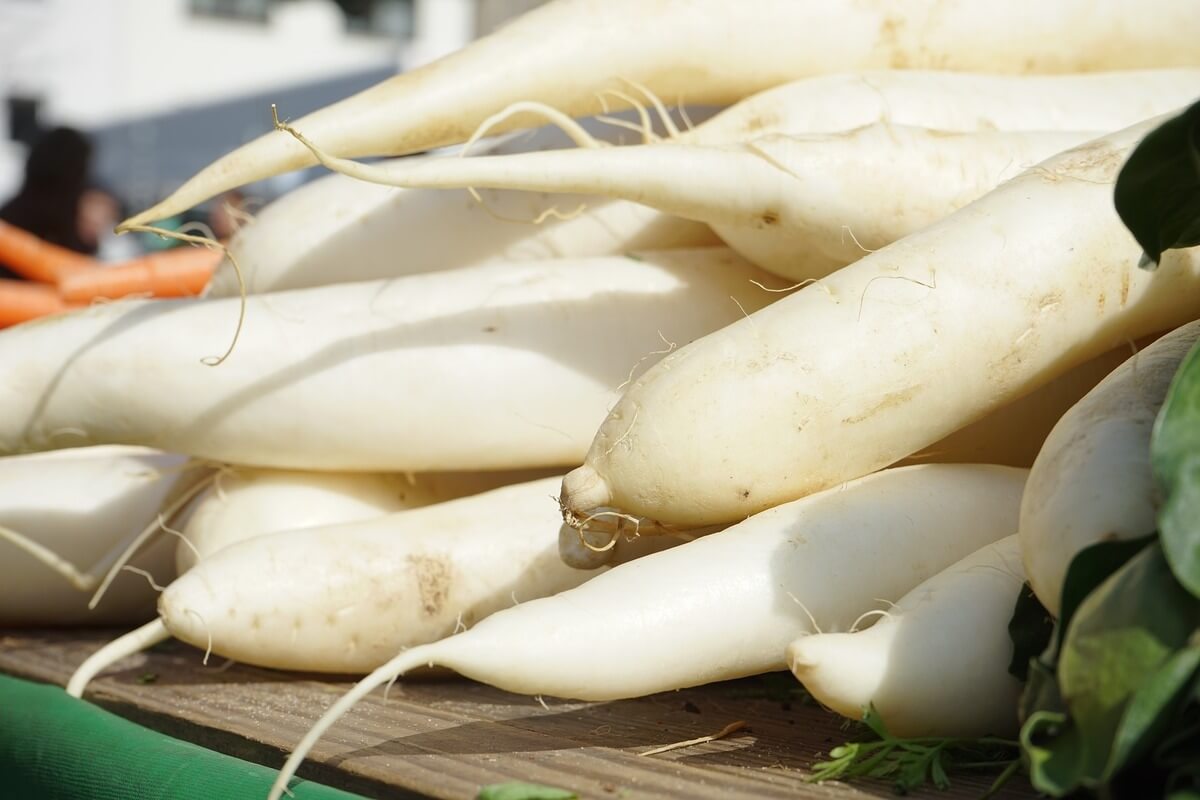 radishes