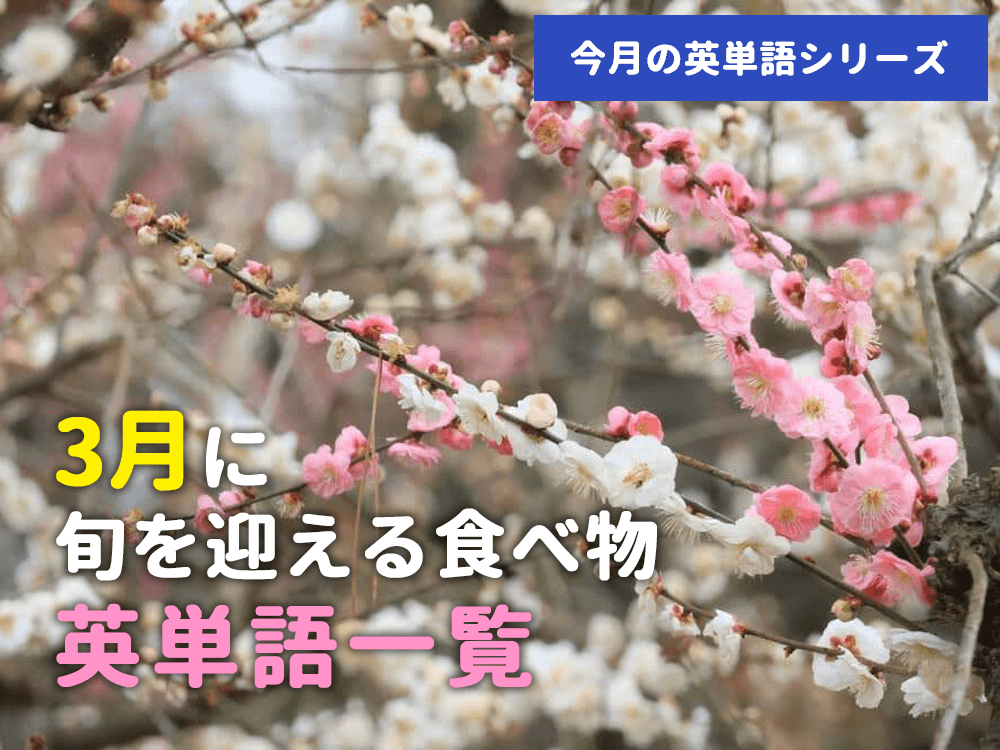 【今月の英単語シリーズ】3月に旬を迎える食べ物英単語一覧