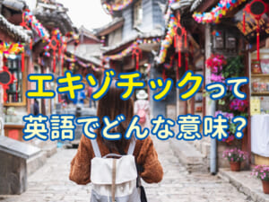 エキゾチック（Exotic）って英語でどんな意味？