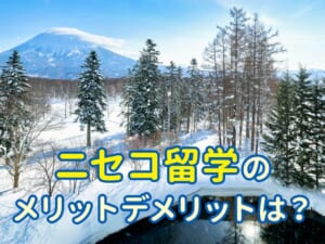 ニセコ留学の費用とメリット・デメリットを比較！費用対効果で選ぶベストな留学先は？