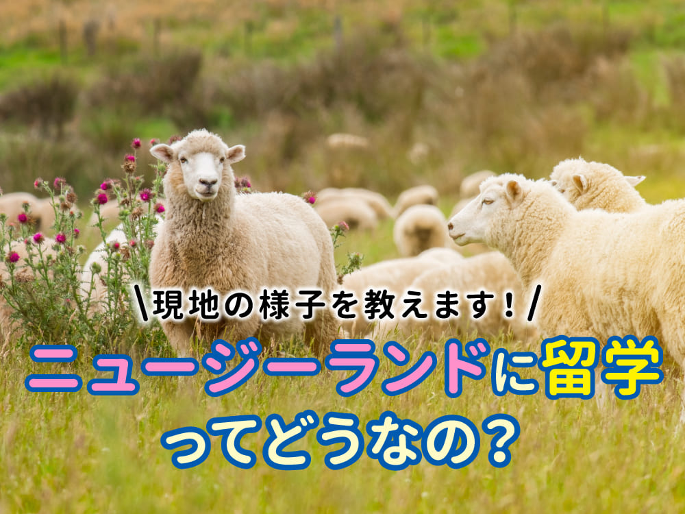 高校・大学留学先にニュージーランドはどう?実体験に基づくリアルな現地の様子を紹介