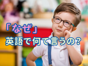 「なぜ」は英語でなんというの？「Why」と「How come」 の違いとは