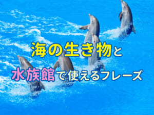親子で英語学習！身近な海の生き物24選と水族館で使える簡単フレーズ集