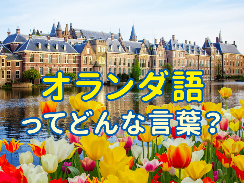 オランダ語ってどんな言葉?ヨーロッパの小さな大国の言語を親子でのぞいてみよう