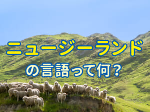 ニュージーランドの言語ってなに？子供と学ぶ多文化の世界