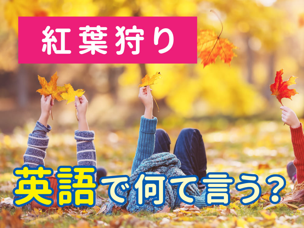 紅葉狩りは英語で何て言うの？使えるフレーズと一緒に紹介！