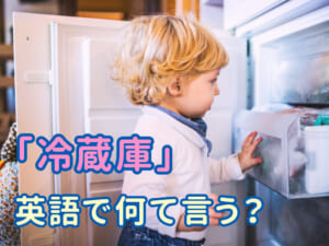 子供に聞かれたらどうする？冷蔵庫って英語で何て言うの？