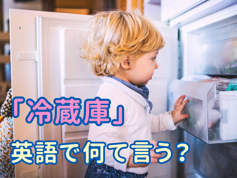 子供に聞かれたらどうする?冷蔵庫って英語で何て言うの?