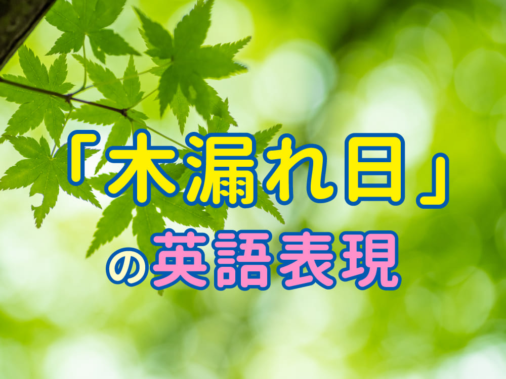 木漏れ日を英語で表現しよう！英語表現と例文