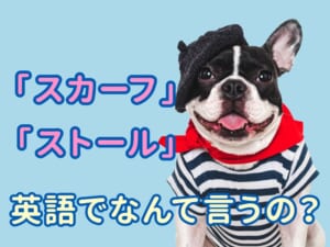 英語で「スカーフ」と「ストール」は何て言う？違いを初心者向けに説明