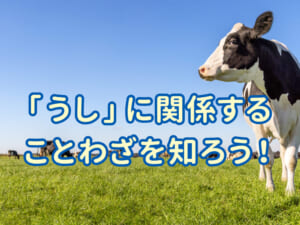 「うし」のことわざってどんなのがある？子供に教えたい日本語と英語