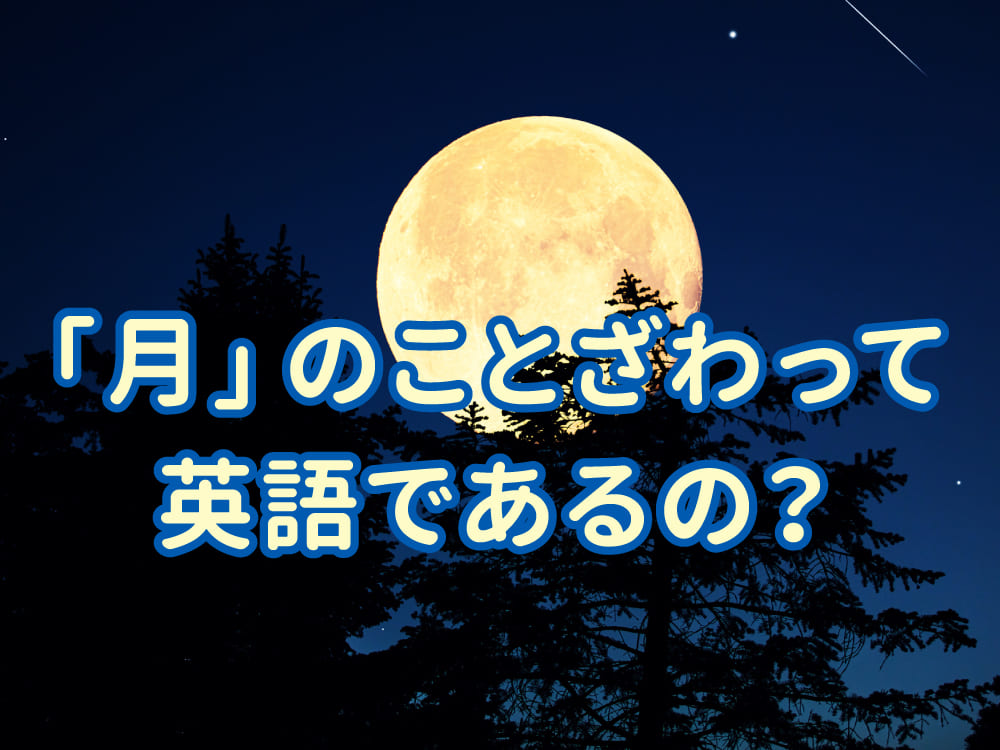 「月」のことわざって英語にある?日本語との違いを紹介
