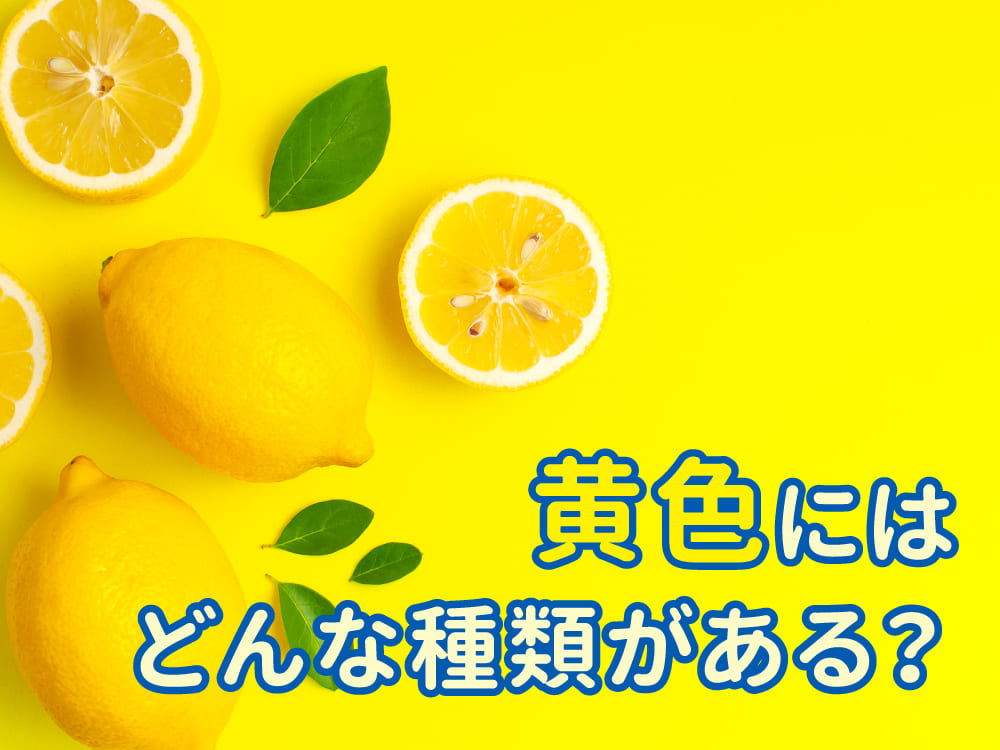 黄色にはどんな種類がある？身近な色の名前と英語表現を解説