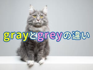 「グレー（灰色）」は英語で「gray」？「grey」？違いと使い分けを解説