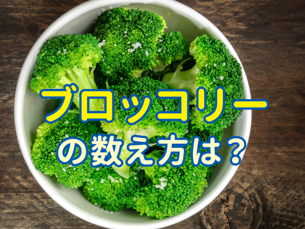 ブロッコリーってどうやって数えるの?英語でも学ぼう!