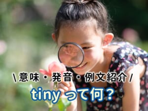「tiny」とは？意味・発音・例文を子供向けにやさしく解説