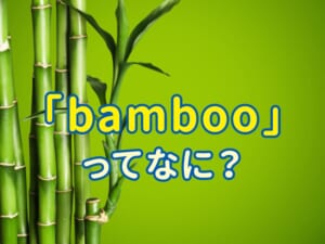 「bamboo」とは？意味・発音・例文を子供向けにわかりやすく解説