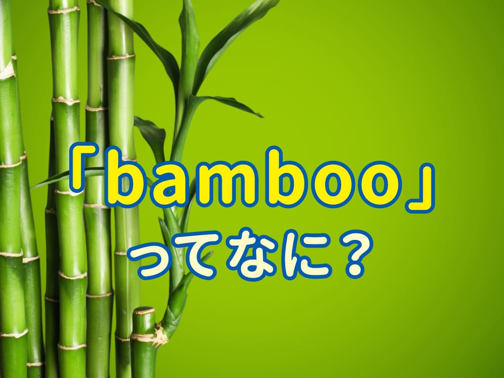 「bamboo」とは?意味・発音・例文を子供向けにわかりやすく解説