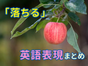 「落ちる」の英語表現まとめ｜「fall・drop・spill」の違いと使い方