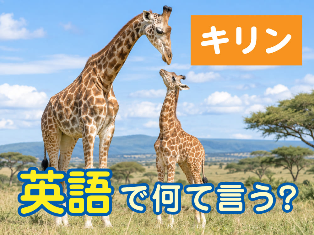 「キリン」を英語で何と言う?子供の英語学習におすすめの理由や特徴を紹介