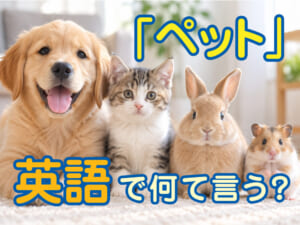 英語で「ペット」は何て言う？「pet」の意味や関連する表現を紹介