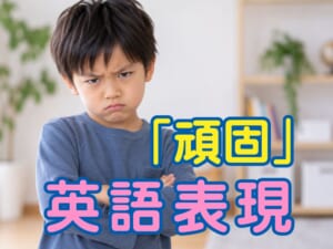 「頑固」は英語でどう表現する？「stubborn」の意味や使い方を解説