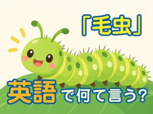毛虫は英語で何ていう？毛虫や昆虫に関する英語表現を子供向けに紹介