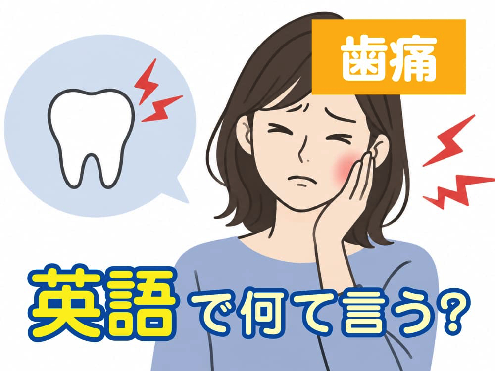 歯痛は英語で何ていう？子供の「歯が痛い」を伝える英語表現を紹介