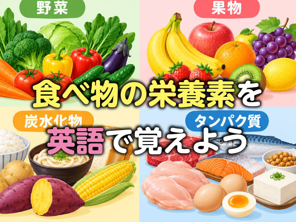 食べ物の栄養素を英語で覚えよう!身近な単語や表現を紹介