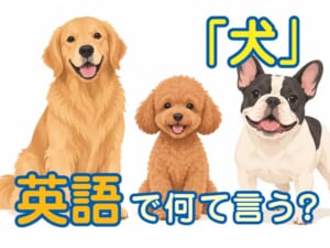 「犬」を表す英語は「dog」だけ？犬に関する英単語や表現を紹介