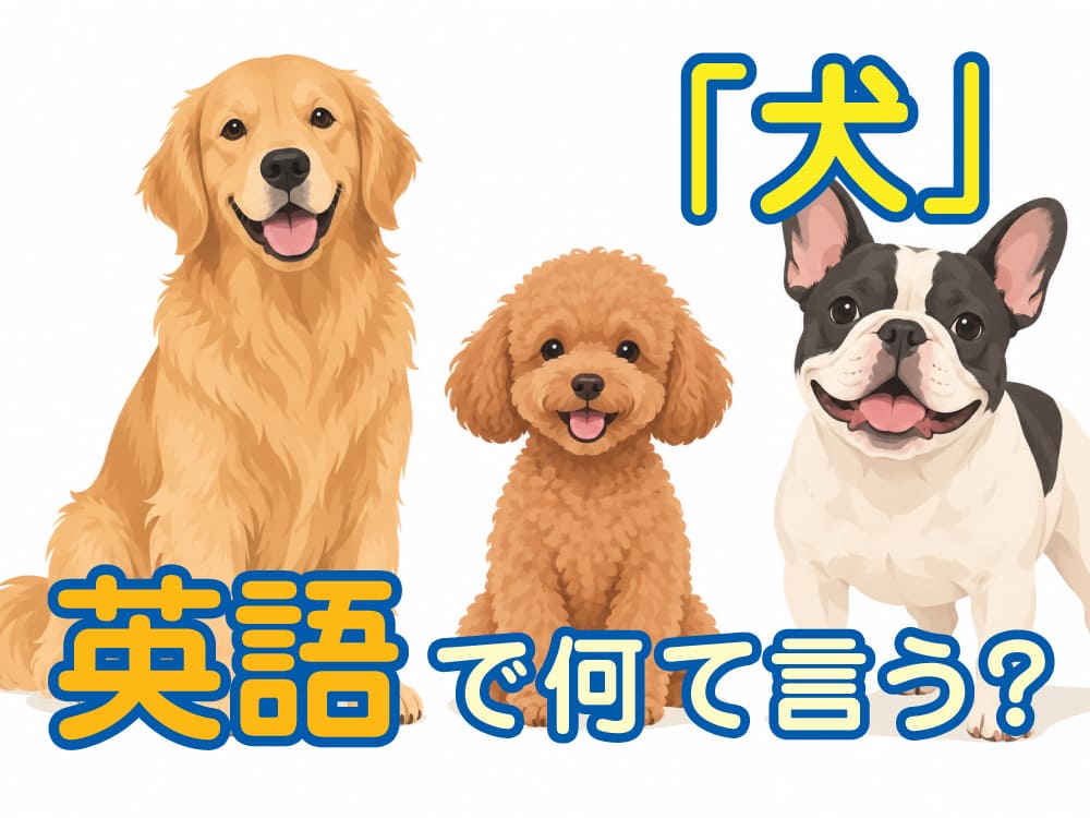 「犬」を表す英語は「dog」だけ？犬に関する英単語や表現を紹介