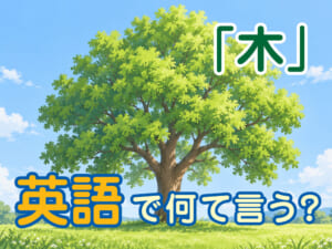 「木」を表す英語は「tree」だけ？木に関する英単語や表現を紹介